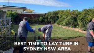 best time to lay turf in sydney nsw